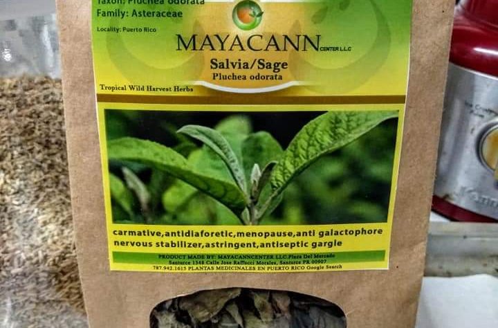 Sage for menstrual pain